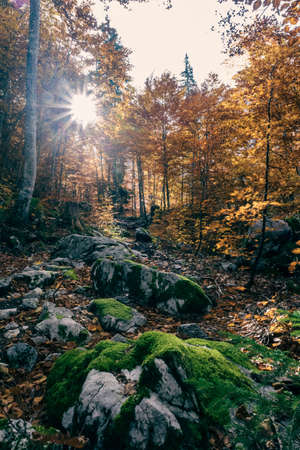 Autumn day near the Fusine lakes, Friuli-Venezia Giulia, Italyの写真素材
