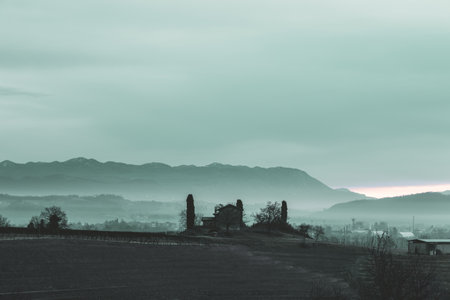 Foggy winter sunrise in the collio friulano, italyの写真素材