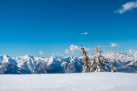 On Mount Zoncolan, Carnic alps after a big snowfall. Udine province, Friuli-Venezia Giulia region, Italyの写真素材