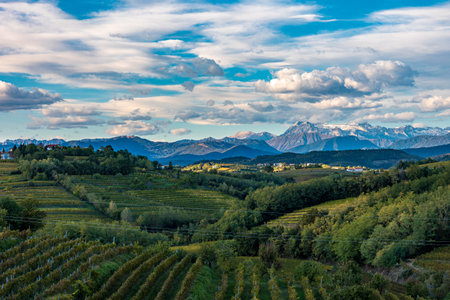 The sun goes down over the vineyards of Collio, Friuli Venezia Giulia, Italyの写真素材