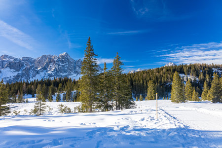 Sunny day in the Dolomiti of Sesto, Trentino Alto-Adige, Italyの写真素材