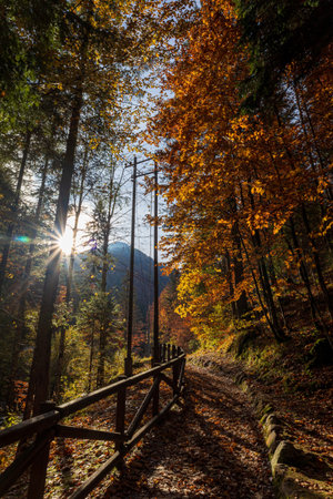 Autumn day near the Fusine lakes, Friuli-Venezia Giulia, Italyの写真素材