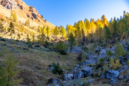 A beautiful sunny autumn day in the Alps of Friuli Venezia-Giulia, Italyの写真素材