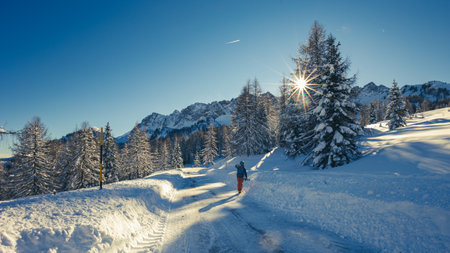 Carnic alps after a big snowfall. Udine province, Friuli-Venezia Giulia region, Italyの写真素材