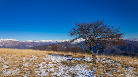 Clouds in the sky over mountains of Preali Giulie, Friuli Venezia-Giulia, Italyの写真素材