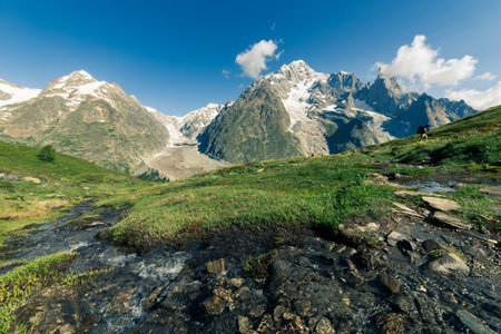 The beautiful Alps of the group of Mont Blancの写真素材