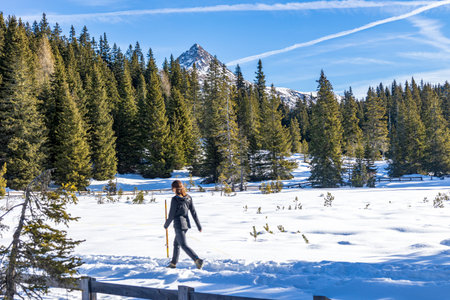 Sunny day in the Dolomiti of Sesto, Trentino Alto-Adige, Italyの写真素材