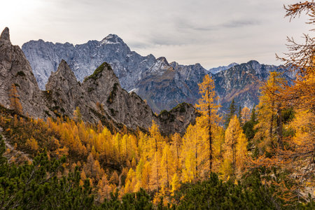 Autumn day near the Fusine lakes, Friuli-Venezia Giulia, Italyの写真素材