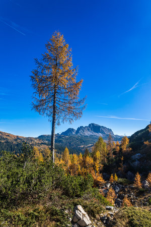 October sunny day in the alps of Italyの写真素材