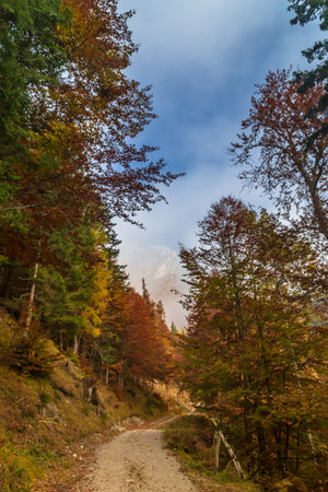 October trekking in the mountains of Val Pesarina, Friuli-Venezia Giulia.の写真素材
