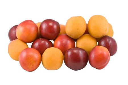 apricot, plum, nectarine isolated on whiteの写真素材