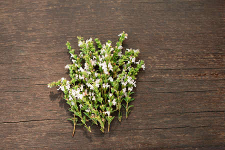 White flowers of mountain thyme on a worn wooden surfaceの写真素材