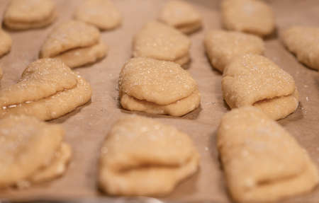 Cookie blanks from cottage cheese dough sprinkled with sugar on a sheet of baking paperの写真素材