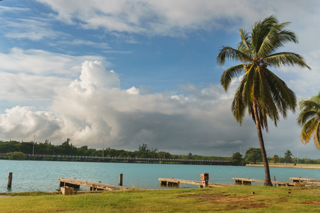 Beautiful views of the palm tree, Varadero, Cubaの写真素材