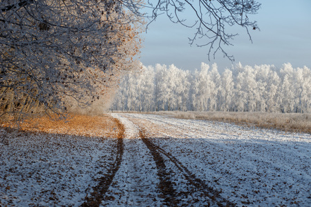 Snow covered trees in the winter forest with roadの写真素材