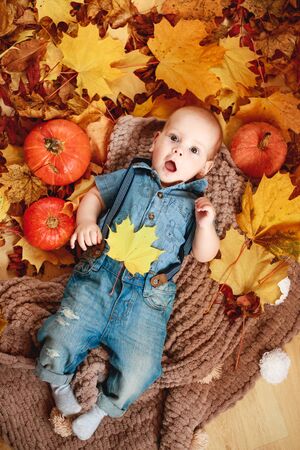 Top view of a newborn baby boy lying in red and yellow maple leaves.の写真素材