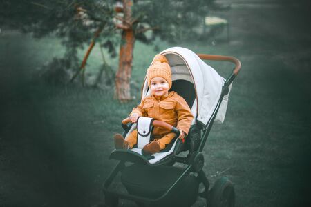A cute little beautiful one year old boy is sitting and smiling in a stroller and waiting for his...