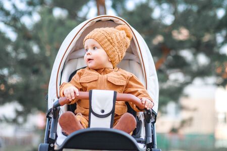 Baby boy in warm jacket and hat sitting in modern stroller on a walk in a park. Child in buggy.