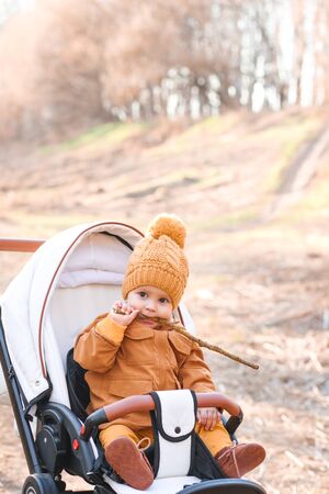 Baby boy in warm jacket and hat sitting in modern stroller on a walk in a park. Child in buggy.の写真素材