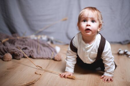 a one-year-old boy in a rustic style with a spikelet of wheat