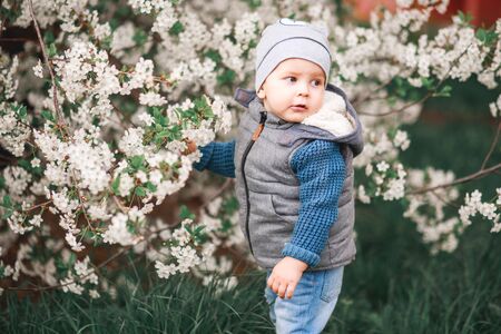 A boy walks in the garden with flowering trees. Spring breathの写真素材