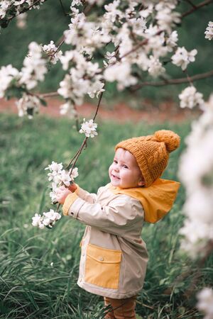 A cute one-year-old boy stands near a blooming Apple tree in spring.の写真素材