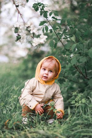 A cute one-year-old boy stands near a blooming Apple tree in spring.の写真素材