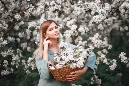 girl with a basket of flowers blooming Apple trees in springの写真素材