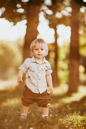 A small blond boy dressed in a vintage jumpsuit in a field at sunset, on a summer day.の写真素材