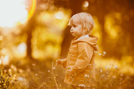 Cute baby boy walking in the beige jacket at sunset, on an autumn dayの写真素材