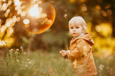 Cute baby boy walking in the beige jacket at sunset, on an autumn dayの写真素材