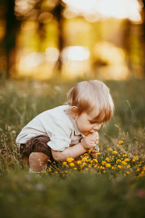 A small blond boy dressed in a vintage jumpsuit in a field at sunset, on a summer day.の写真素材