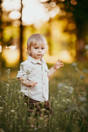 A small blond boy dressed in a vintage jumpsuit in a field at sunset, on a summer day.の写真素材