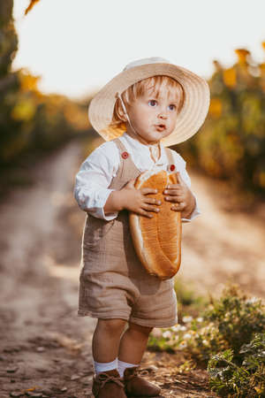a boy in a field of sunflowers eats wheat bread, bites off a loafの写真素材