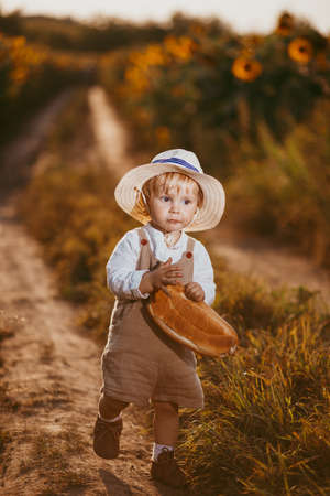 a boy in a field of sunflowers eats wheat bread, bites off a loafの写真素材