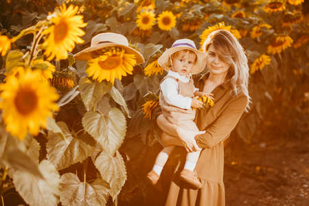 A young beautiful mother and her little cute son are walking in a field with sunflowers, having fun, running and having fun together in the summerの写真素材