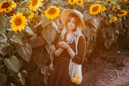 beautiful girl in a field of sunflowers with a bag of food in her hands at sunset in summerの写真素材