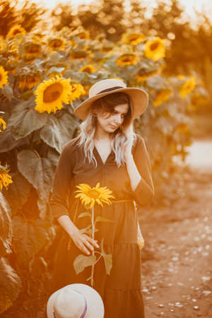 beautiful girl in a field of sunflowers with a bag of food in her hands at sunset in summerの写真素材
