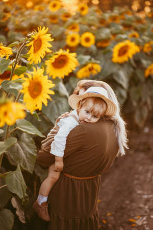 A young beautiful mother and her little cute son are walking in a field with sunflowers, having fun, running and having fun together in the summerの写真素材
