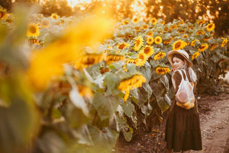 beautiful girl in a field of sunflowers with a bag of food in her hands at sunset in summerの写真素材