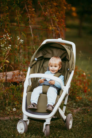 A beautiful young boy in blue clothes is sitting in a stroller and smiling at someone on an autumn...