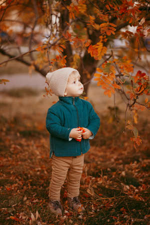 A boy in a green jacket walks in the Park against the background of autumnの写真素材