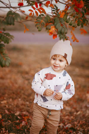 Portrait of a cute boy standing on the ground covered with autumn leaves.の写真素材