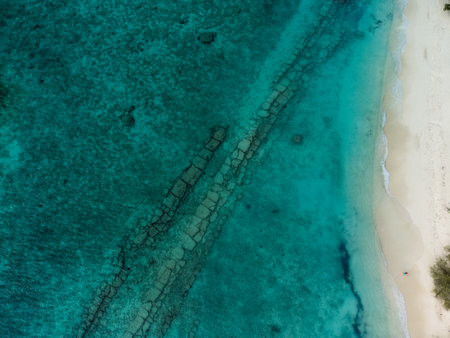 Aerial photo of beautiful paradise Maldives tropical beach on island. Summer and travel vacation concept.の写真素材