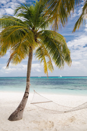 Beautiful tropical beach with white sand, turquoise ocean on background blue sky with clouds on sunny summer day. Palm tree leaned over water.の写真素材