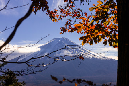 Bright autumn scene of Mount Fuji framed by red foliage, with sunburst through branches. A crisp peak against a blue sky and distant forest creates a peaceful, inspirational landscape.の写真素材