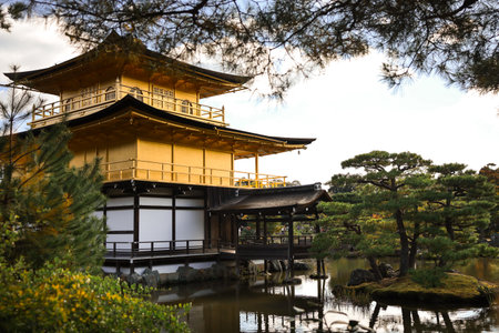 A golden, multi-tiered Japanese pavilion peeks through vibrant autumn foliage. Sunlit temple roof and surrounding pines create a serene scene perfect for travel, culture, and nature imagery.の写真素材