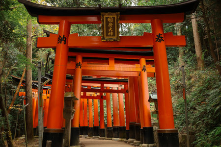 A vivid corridor of bright orange torii gates lines a winding gravel path at a Japanese shrine. Each pillar bears inscriptions, creating a striking scene of tradition, sacred space, and travel.の写真素材