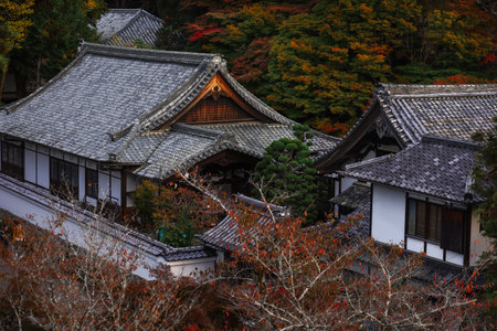 A tranquil Japanese temple courtyard framed by vibrant red maple trees in autumn. Visitors photograph the traditional tiled roof and stone lanterns, capturing heritage, serenity, and seasonal color.の写真素材