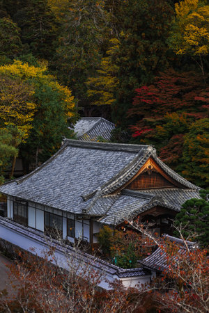 A tranquil Japanese temple courtyard framed by vibrant red maple trees in autumn. Visitors photograph the traditional tiled roof and stone lanterns, capturing heritage, serenity, and seasonal color.の写真素材